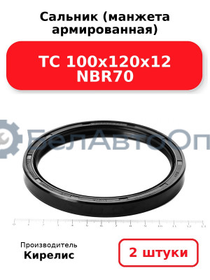 Сальник (манжета армированная) TC 100х120х12 NBR70. Комплект 2(шт)