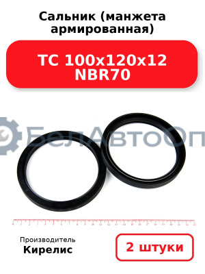 Сальник (манжета армированная) TC 100х120х12 NBR70. Комплект 2(шт)