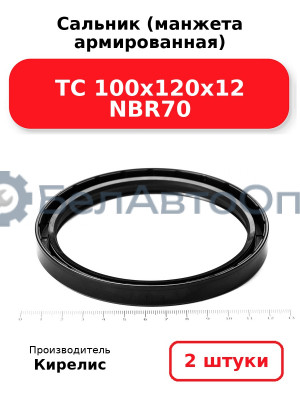 Сальник (манжета армированная) TC 100х120х12 NBR70. Комплект 2(шт)