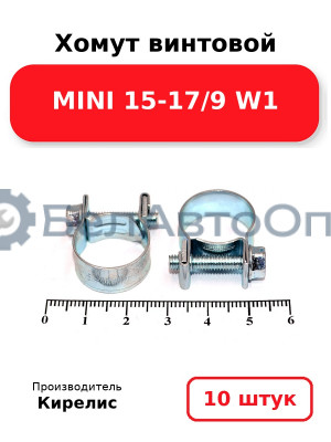 Хомут винтовой MINI 15-17/9 W1. Комплект 10 шт.