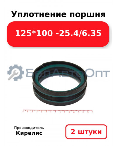 Уплотнение поршня 125*100 -25.4/6.35. Комплект 2(шт)