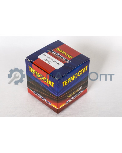 Термостат "Автомагнат" (AM-29-018) 108-1306100-01