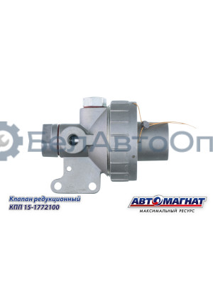 Клапан КАМАЗ "Автомагнат" (AM-30-039) 15-1772100