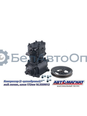 Компрессор "Автомагнат" (AM-15-030) 16.3509012