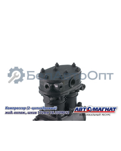 Компрессор "Автомагнат" (AM-15-030) 16.3509012