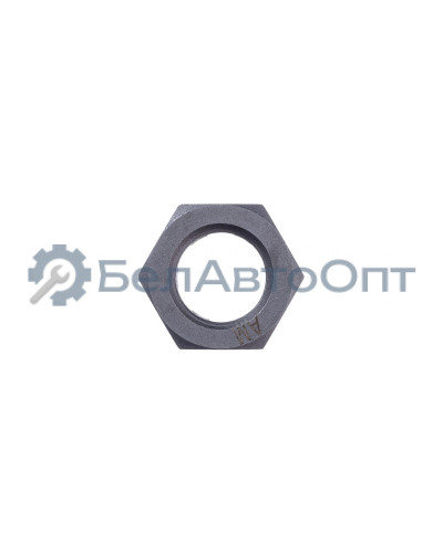 Гайка МАЗ пальца рулевого М24х2 корончатая тефлон (М24x2.0хSW36xH18) "Автомагнат" (AM-46-150)(Комплект 2 шт.) 251035