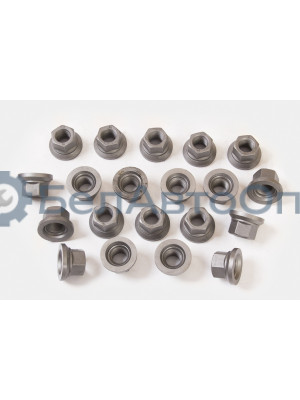 Гайка колеса ГАЗ-3302,ЗИЛ-5301 "Автомагнат" (AM-46-015)(Комплект 10 шт.) 3302-3101034 T