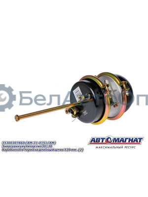 Энергоаккумулятор BPW, DAF, Kogel, Krone "Автомагнат" (AM-31-015) 35300307860