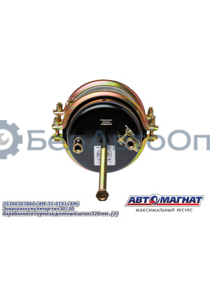 Энергоаккумулятор BPW, DAF, Kogel, Krone "Автомагнат" (AM-31-015) 35300307860