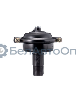 Камера тормозная ЛИАЗ-5256 , 5292,6212 "Автомагнат" (AM-31-024) 5256-3519010