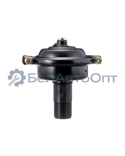 Камера тормозная ЛИАЗ-5256 , 5292,6212 "Автомагнат" (AM-31-024) 5256-3519010