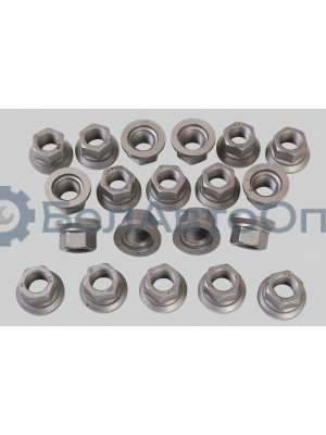 Гайка колеса ГАЗ, КАМАЗ, МАЗ H27 "Автомагнат" (AM-46-017)(Комплект 10 шт.) 5425-3101040