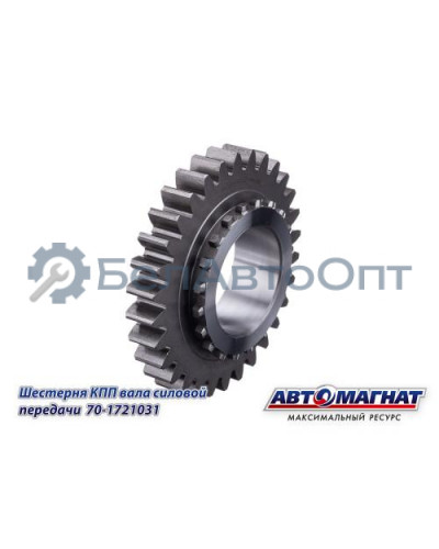 Шестерня КПП МТЗ (KFJ-8908) "Автомагнат" (AM-55-241) 70-1721031