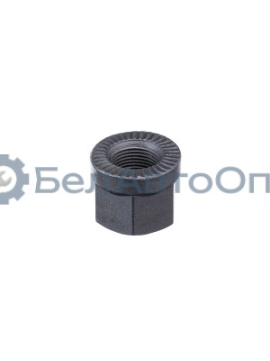 Гайка М20х1.5-6Н стремянки передней КАМАЗ с насечкой тефлон (M20X1.5XSW32XH29) "Автомагнат" (AM-46-145)(Комплект 2 шт.) 853525