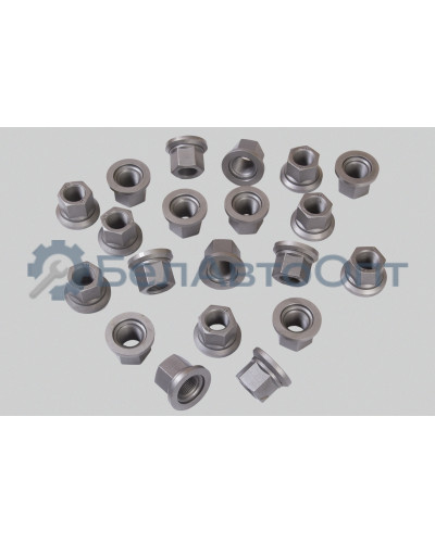 Гайка колеса ГАЗ,КАМАЗ,МАЗ "Автомагнат" (AM-46-018)(Комплект 10 шт.) 93865-3101038