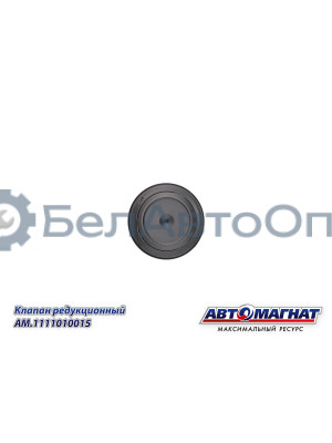 Клапан редукционный "Автомагнат" (AM-80-K-002) 1110010015