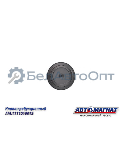 Клапан редукционный "Автомагнат" (AM-80-K-002) 1110010015