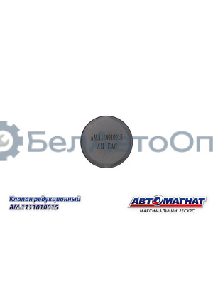 Клапан редукционный "Автомагнат" (AM-80-K-002) 1110010015