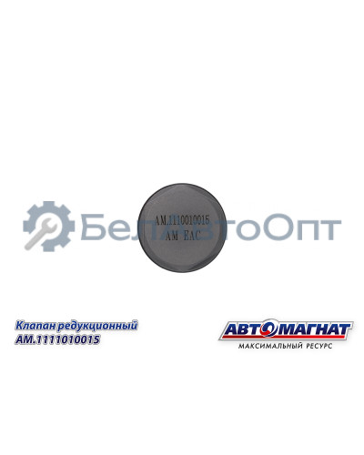 Клапан редукционный "Автомагнат" (AM-80-K-002) 1110010015