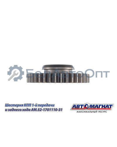 Шестерня КПП ГАЗ-3307, 3308, 53, 66 "Автомагнат" (AM-55-115) 52-1701110-31