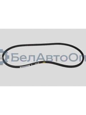 Ремень клиновой "Автомагнат" (AM-26-065) 1250-11х10