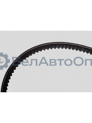 Ремень клиновой "Автомагнат" (AM-26-025) 875-8,5х8