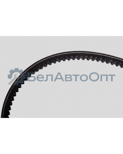 Ремень клиновой "Автомагнат" (AM-26-025) 875-8,5х8