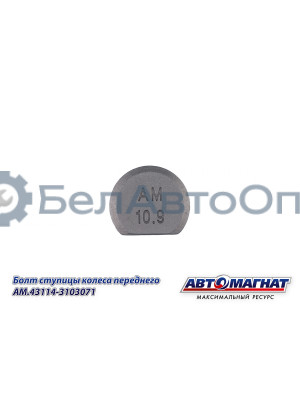 Болт ступицы КАМАЗ "Автомагнат" (AM-46-053)(Комплект 10 шт.) 43114-3103071