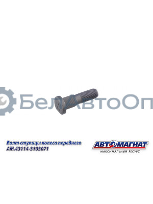 Болт ступицы КАМАЗ "Автомагнат" (AM-46-053)(Комплект 10 шт.) 43114-3103071