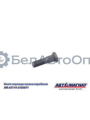 Болт ступицы КАМАЗ "Автомагнат" (AM-46-053)(Комплект 10 шт.) 43114-3103071