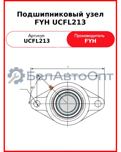 Подшипниковый узел FYH UCFL213