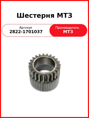 Шестерня (РУП МТЗ)  2822-1701037