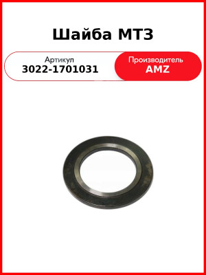 шайба 3022-1701031