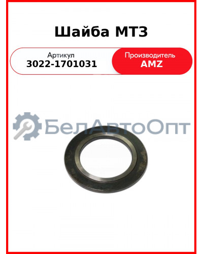 шайба 3022-1701031