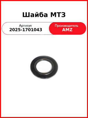 шайба 2025-1701043