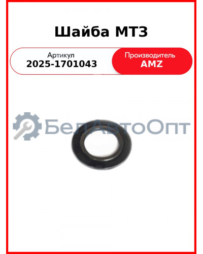 шайба 2025-1701043