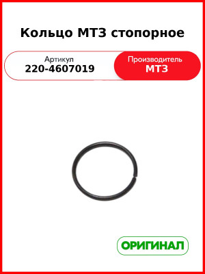 Кольцо Стопорное (РУП МТЗ)  220-4607019