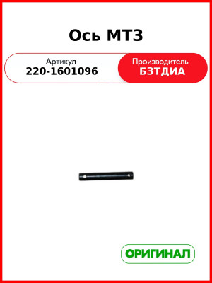 Ось (РУП БЗТДиА)  220-1601096