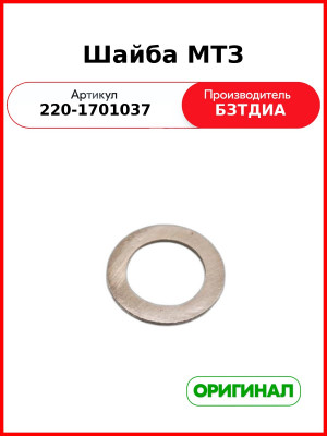 Шайба МТЗ (РУП БЗТДиА)  220-1701037