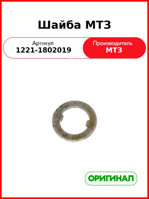 Шайба МТЗ (РУП МТЗ)  1221-1802019