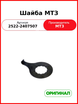 Шайба МТЗ (ОАО МТЗ)  2522-2407507