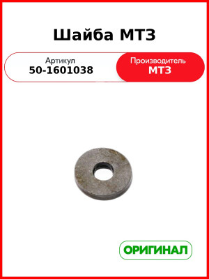 Шайба нажимная МТЗ-80, 82 (ОАО МТЗ)  50-1601038