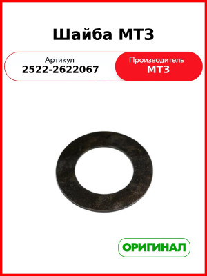Шайба МТЗ (ОАО МТЗ)  2522-2622067