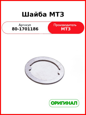 Шайба МТЗ (ОАО МТЗ)  80-1701186