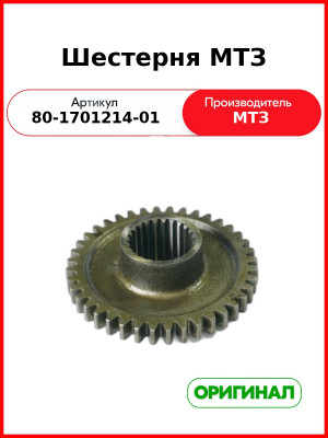 Шестерня КПП Z=40 (РУП МТЗ)  80-1701214-01