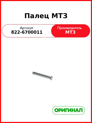 Палец дверной петли МТЗ (РУП МТЗ)  822-6700011