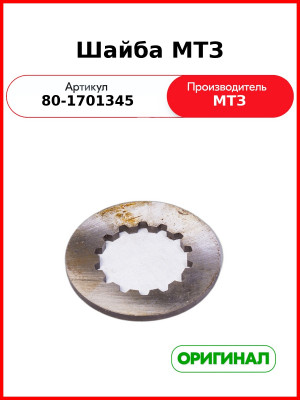 Шайба МТЗ (ОАО МТЗ)  80-1701345