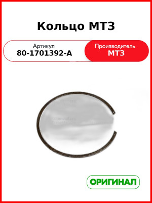 Кольцо (РУП МТЗ)  80-1701392-А