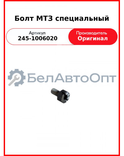 Болт шестерни распредвала Д-245, Д-243 (МТЗ-82), Д-260 (МТЗ-1221, Амкодор)  ММЗ  245-1006020