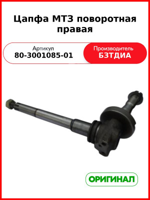 Цапфа поворотная МТЗ-82, правая, усиленная  БЗТДиА  80-3001085-01